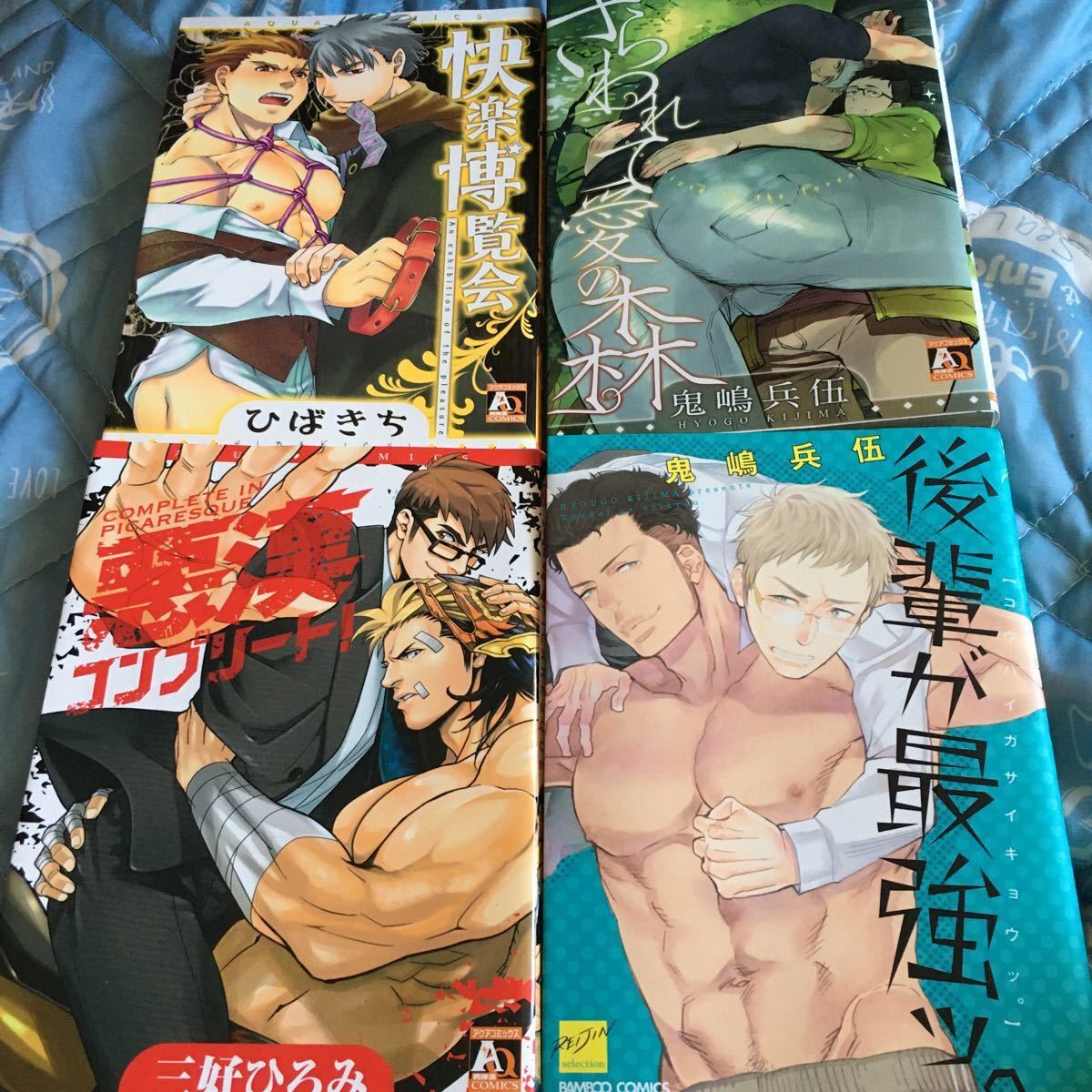 BL コミック まとめ売り