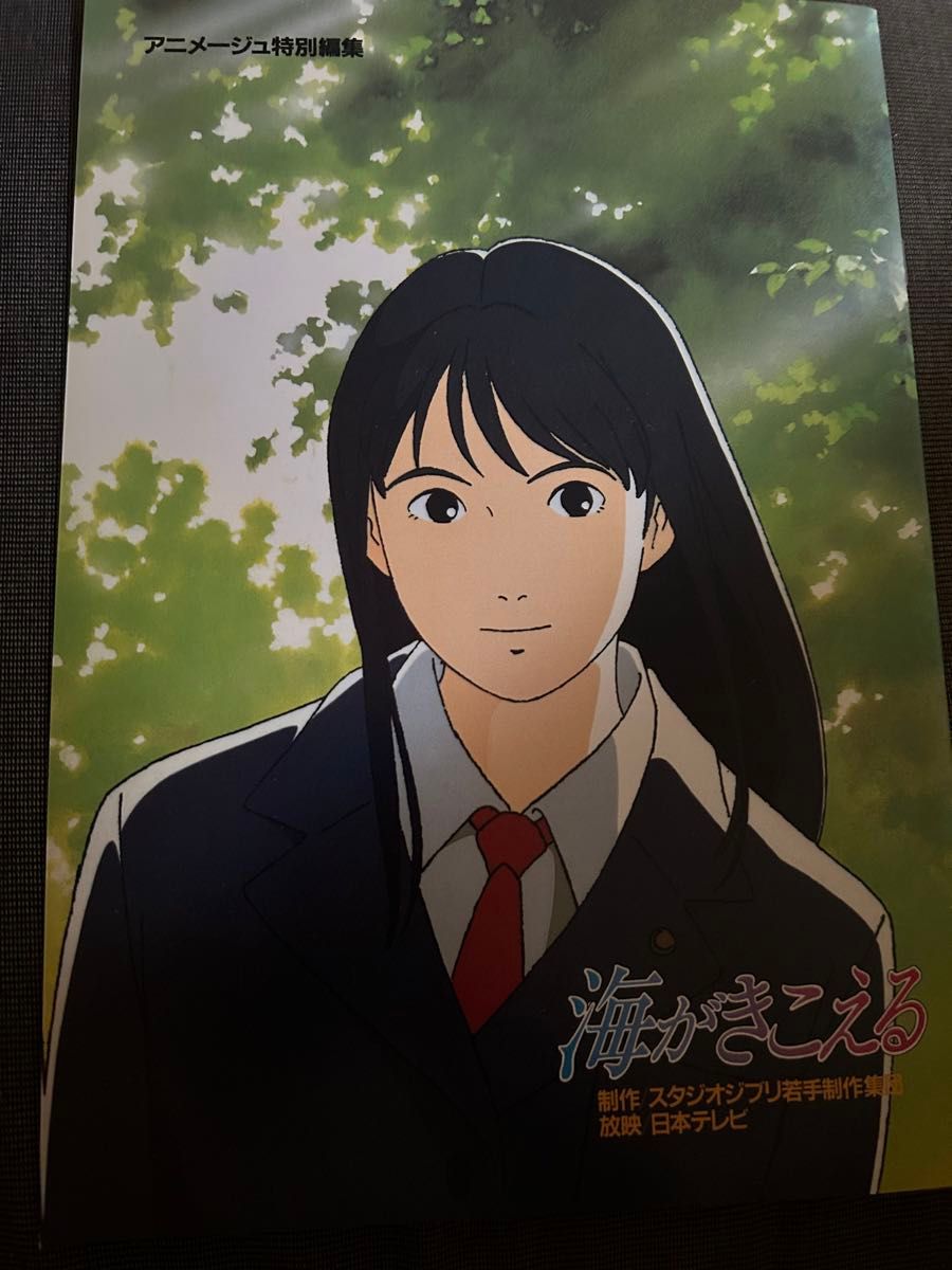 【新品未読】映画 海がきこえる リバイバル上映 限定 復刻 パンフレット 2冊 映画 海がきこえる 復刻パンフレット リバイバル上映 劇場グッズ