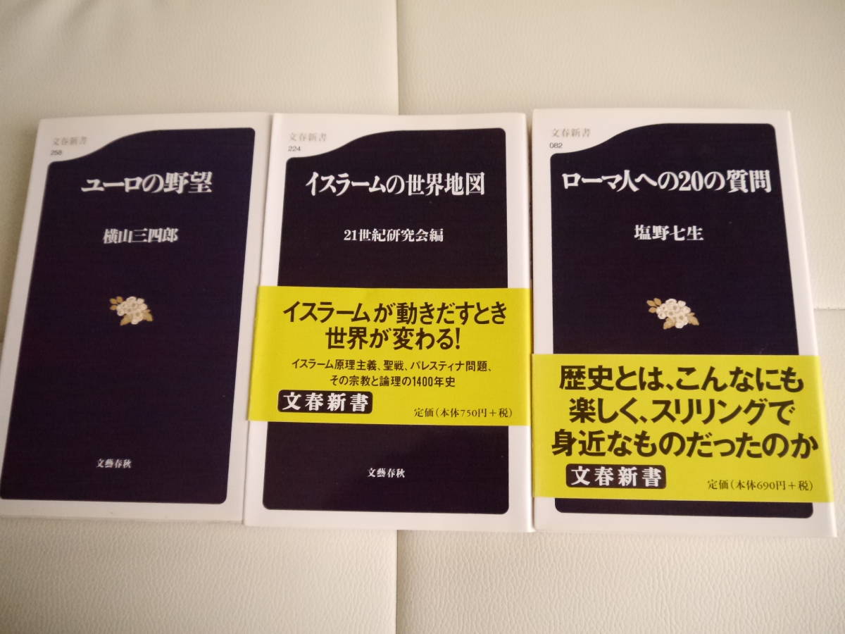 ヤフオク イスラームの世界地図 ユーロの野望横山三四郎