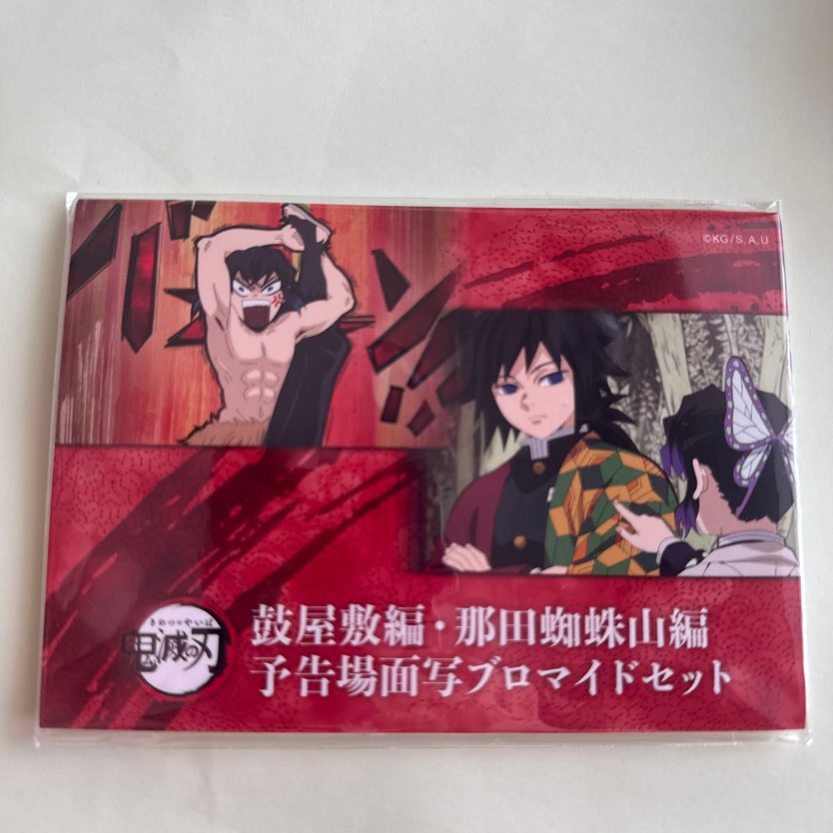 鬼滅の刃 那田蜘山編 予告場面写 ブロマイド 義勇 しのぶ 鬼滅の刃 鼓屋敷編・那田蜘蛛山編 予告場面写ブロマイドセット