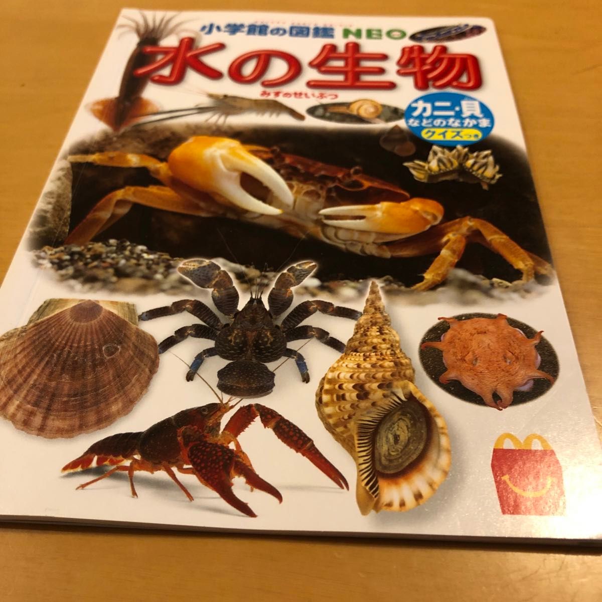 小学館の図鑑 NEO(プラス) 7冊セット 小学館の図鑑NEO 7冊セット|Yahoo!フリマ(旧PayPayフリマ)
