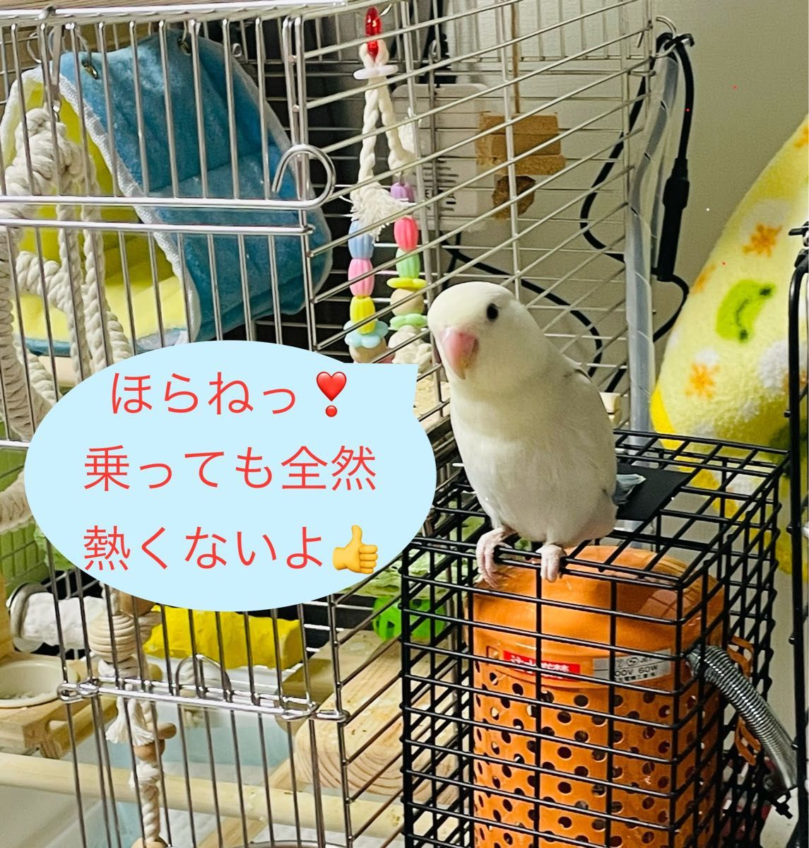 【3個】ペットヒーター 保温電球 カバー 保護ケース メッシュ 鳥 いたずら防止 17 ペットヒーター 保温電球 カバー 保護ケース メッシュ 鳥