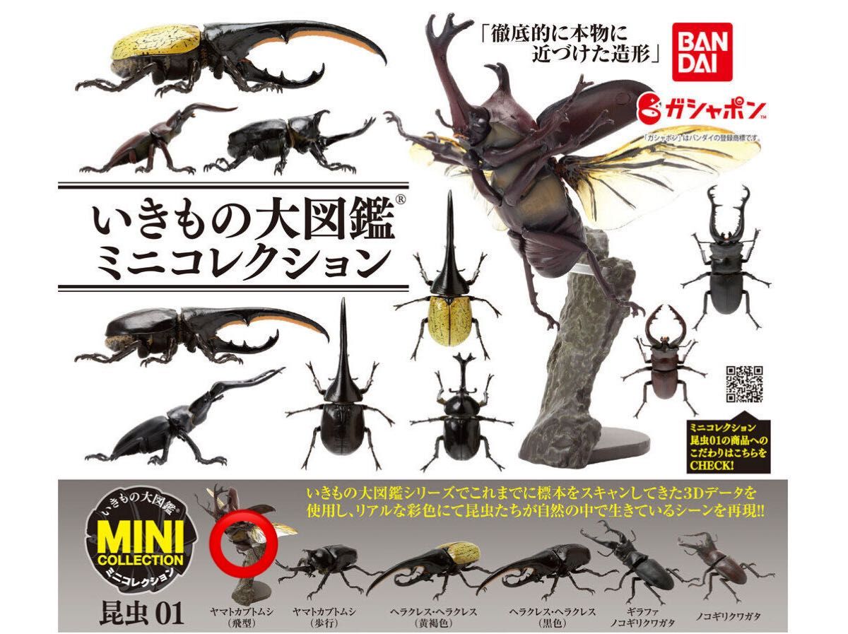 昆虫大系 ヤマトカブトムシ(飛型) いきもの大図鑑ミニコレクション 昆虫