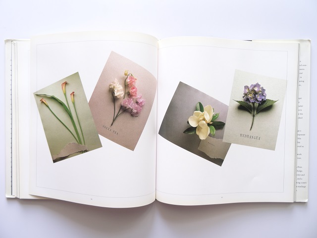 洋書◆花の写真集 本 植物 フラワーアート_画像7