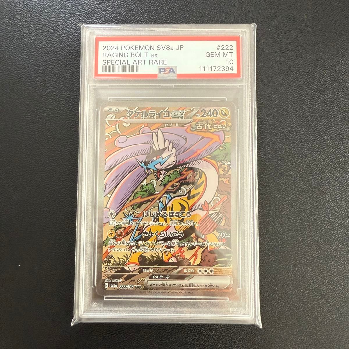 タケルライコex psa10、2連番 タケルライコex psa10、2連番 タケルライコex sar 2連番