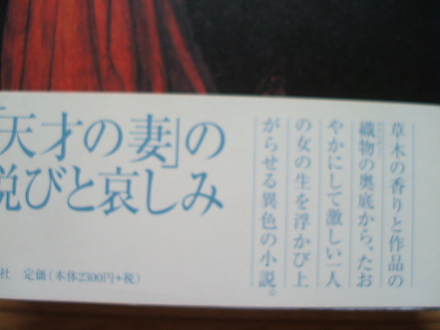 熊井明子「シェイクスピアの妻」妻からみた伝記的小説。面白い。_画像2