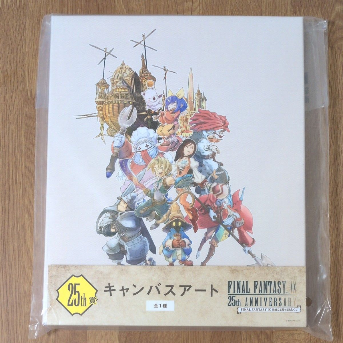 FF9 キャンバスアート ファイナルファンタジー9 FF9 FINAL FANTASY IX 発売25周年記念