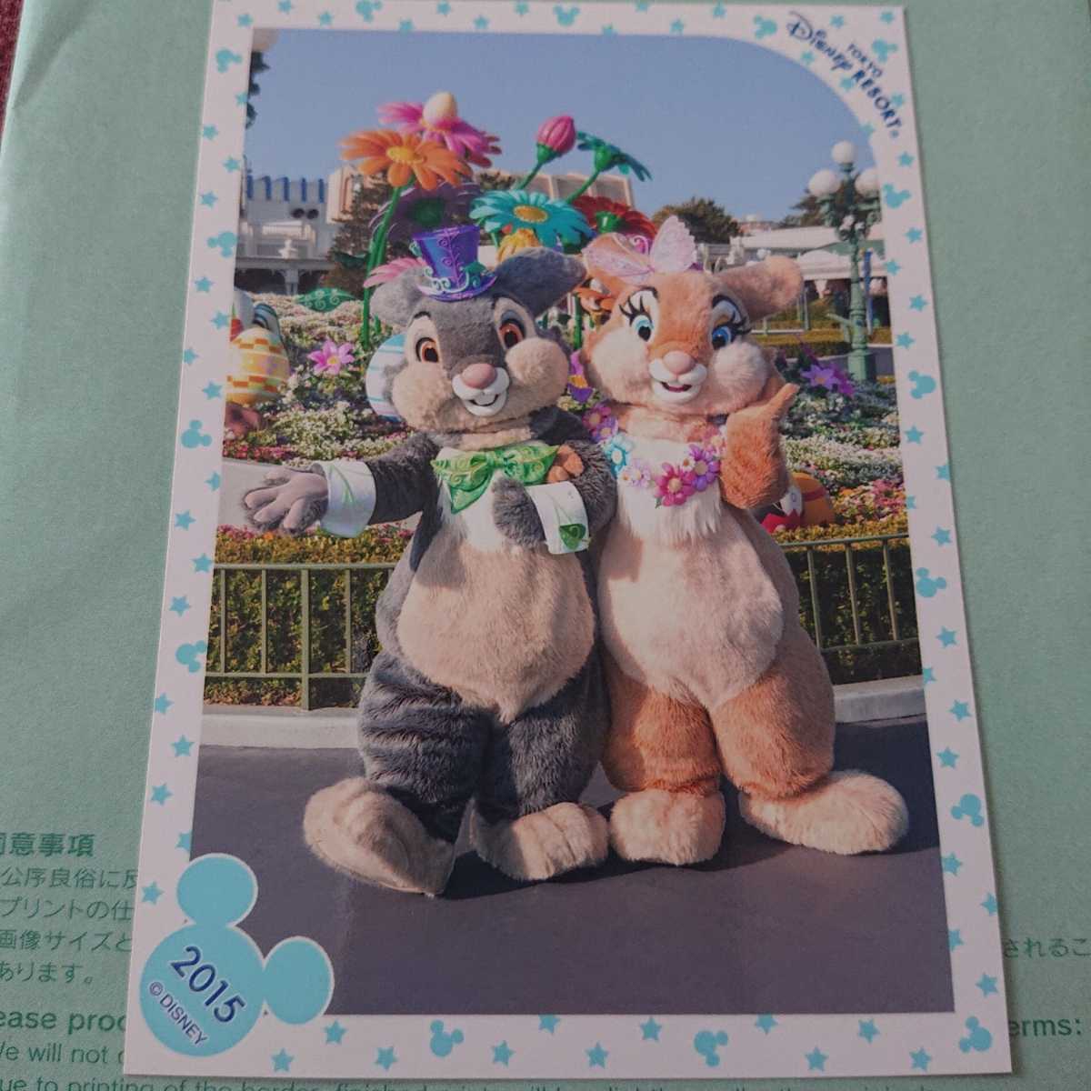 スペシャルフォト ディズニー Tdl ミスバニー とんすけ 15 イースター ディズニー 売買されたオークション情報 Yahooの商品情報をアーカイブ公開 オークファン Aucfan Com スペシャルフォト ディズニー Tdl ミスバニー とんすけ 15 イースター ディズニー 売買されたオークション情報 Yahooの商品情報をアーカイブ公開 オークファン Aucfan Com