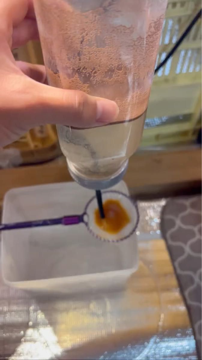 丸型Sサイズタモ(白網 ミジンコネット)めだか 紫タモ 選別網 ヤフセイメダカ