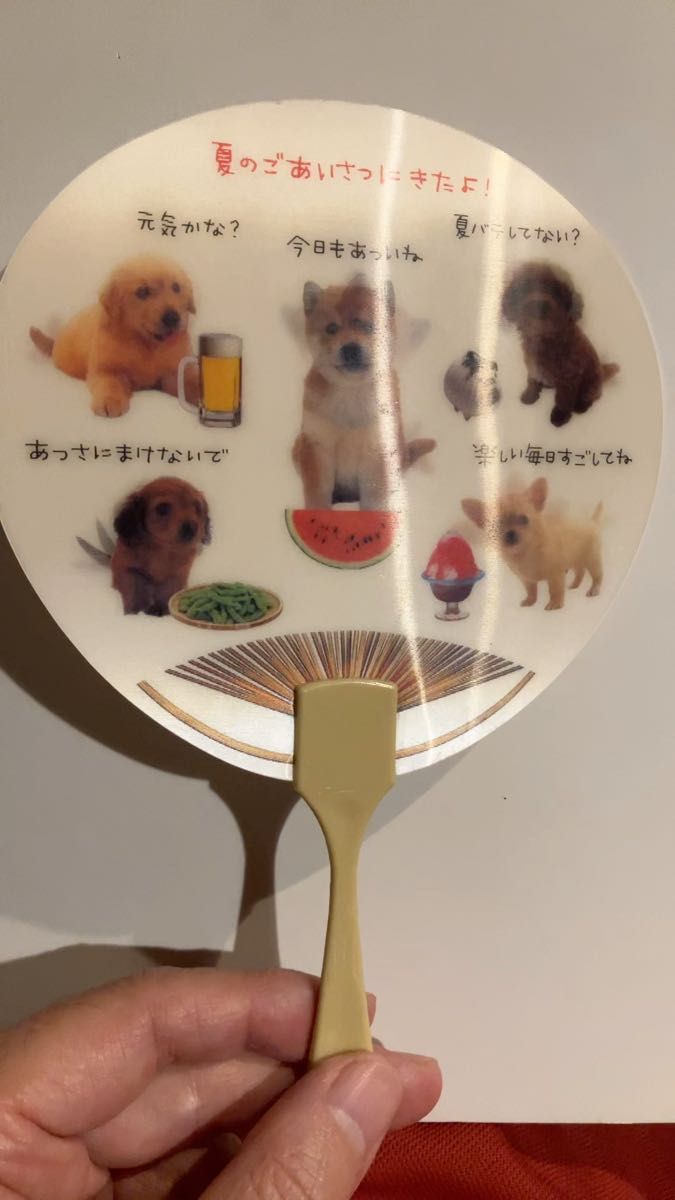 子犬うちわ ミニうちわ ステッカー 2点セット 豆助 シール 和風総本家 豆柴 日本っていいな 希少 レア 柴犬 子犬