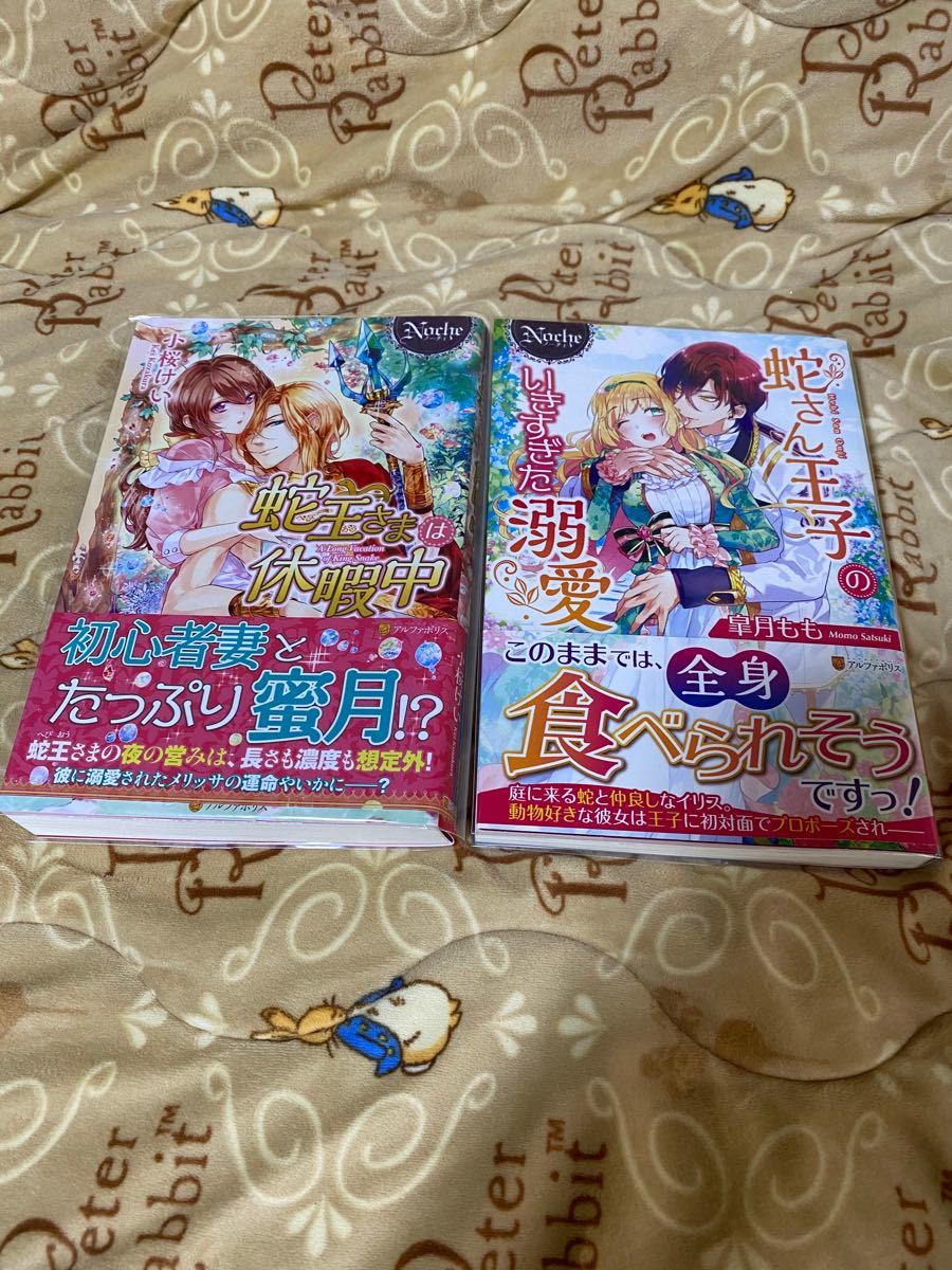 Paypayフリマ Tl小説 ノーチェブックス蛇さん王子のいきすぎた溺愛 蛇王さまは休暇中2冊セット Paypayフリマ Tl小説 ノーチェブックス蛇さん王子のいきすぎた溺愛 蛇王さまは休暇中2冊セット