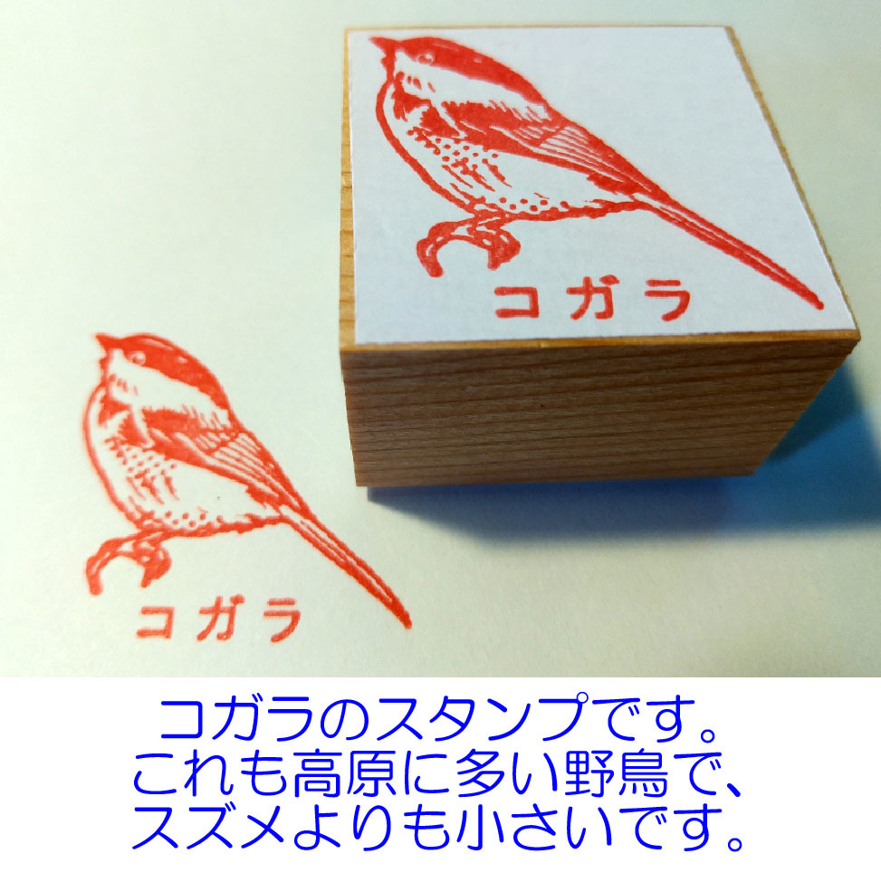 +[ lovely wild bird stamp *4 piece set ]( free shipping | character inserting possibility ).!#11