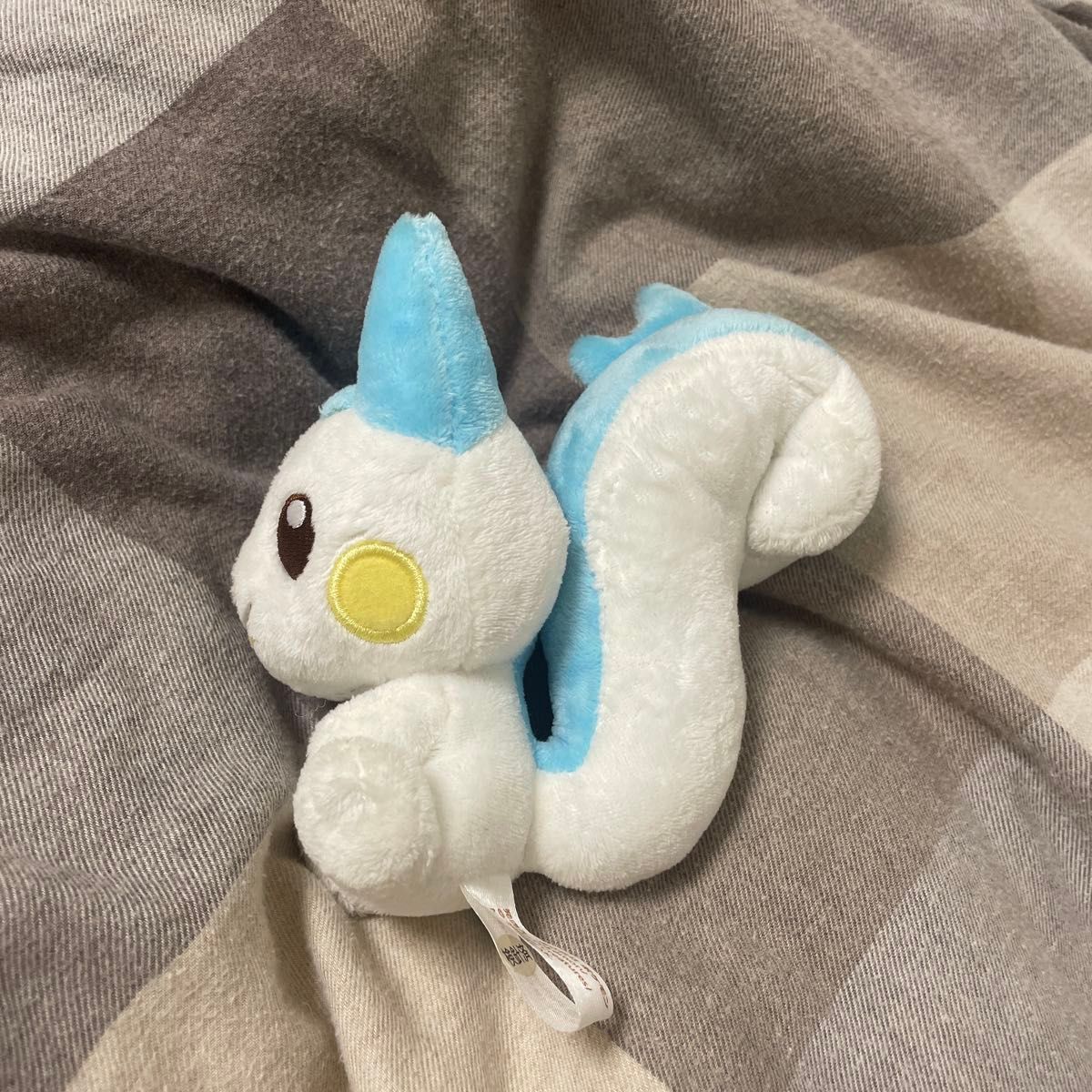 ポケモンキャンバスぬいぐるみ パチリス ポケモン パチリス ポケモンキャンバス ぬいぐるみ ポケモン