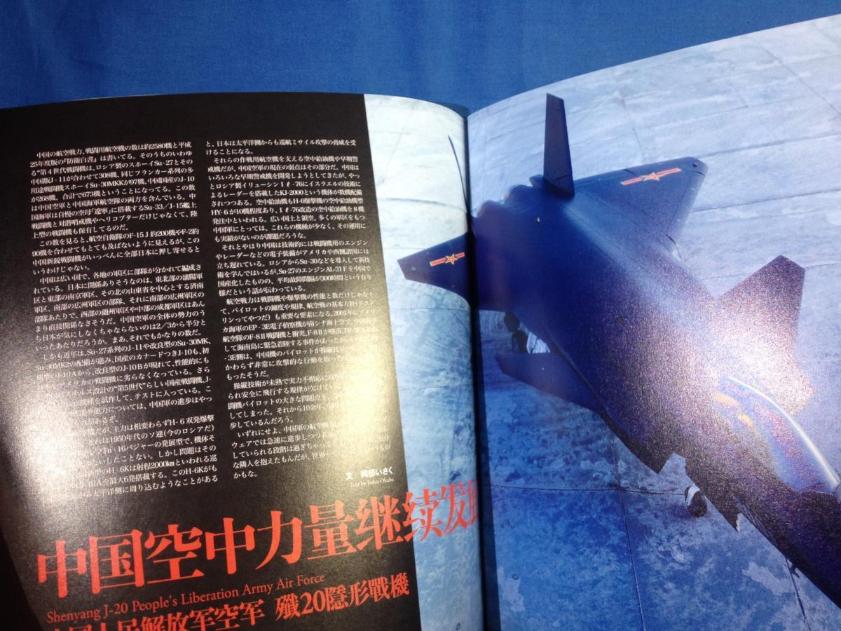 Scale Aviation スケールアヴィエーション 2014年01月号 VOL.95 大日本絵画 4910054250145 現代ロシア戦闘機の画像10
