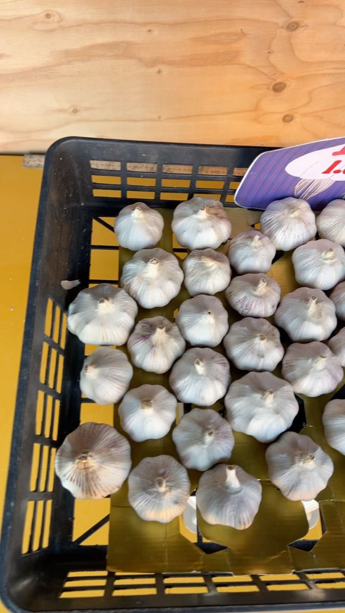 生にんにく1.8kg 兵庫県産 ④