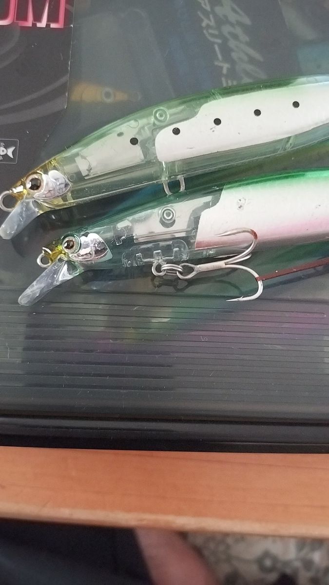 シマノ サイレントアサシン ストロングアサシン セット シーバス