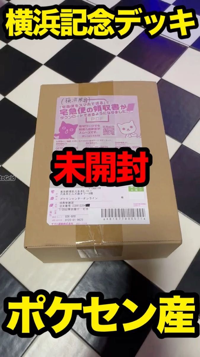 ポケモンワールドチャンピオンシップス2023横浜記念デッキ「ピカチユウ」 ポケモンカードゲーム