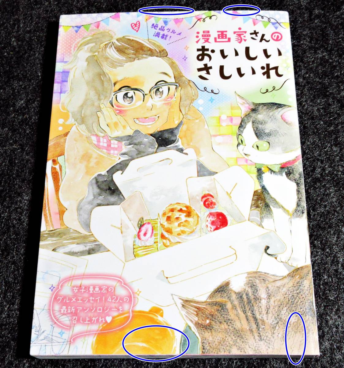 ヤフオク 漫画家さんのおいしいさしいれ ホーム社書籍扱 ヤフオク 漫画家さんのおいしいさしいれ ホーム社書籍扱