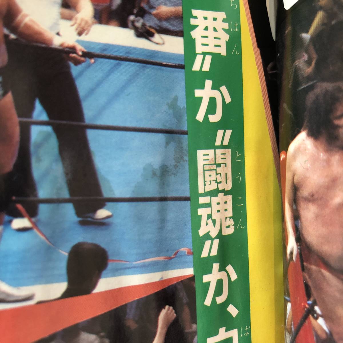 KB 初版・帯付き ＜ プロレス全記録 激闘プロレス試合の全記録！決定版！ ＞ リップウ書房 こどもポケット百科 昭和５９年_画像7