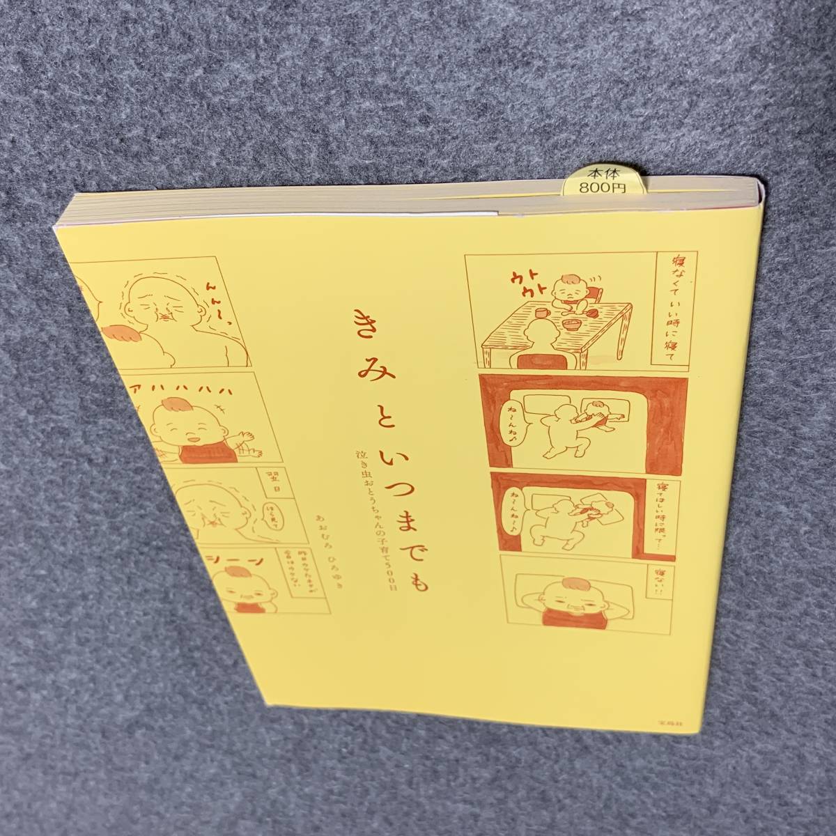 きみといつまでも 泣き虫おとうちゃんの子育て500日