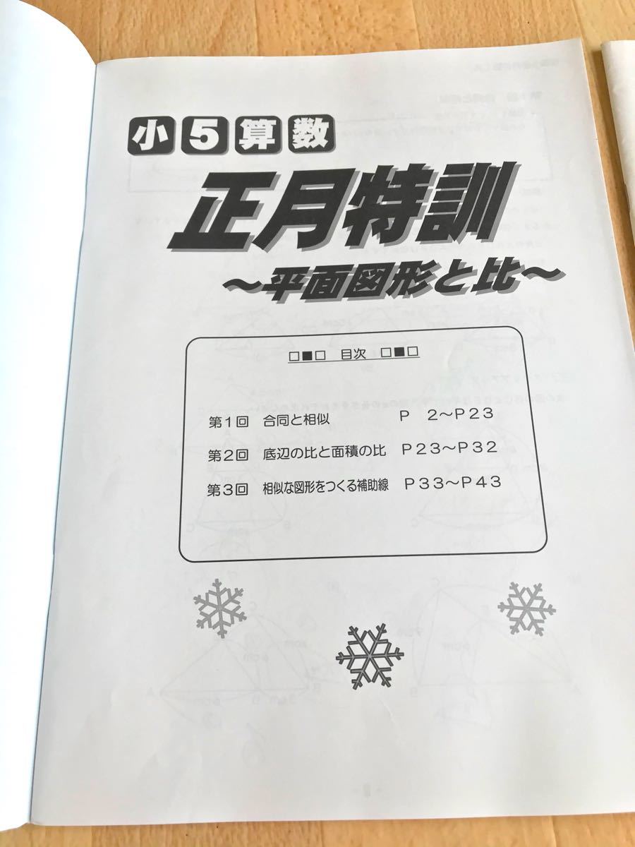 早稲田アカデミー　小5算数　正月特訓テキスト　平面図形と比