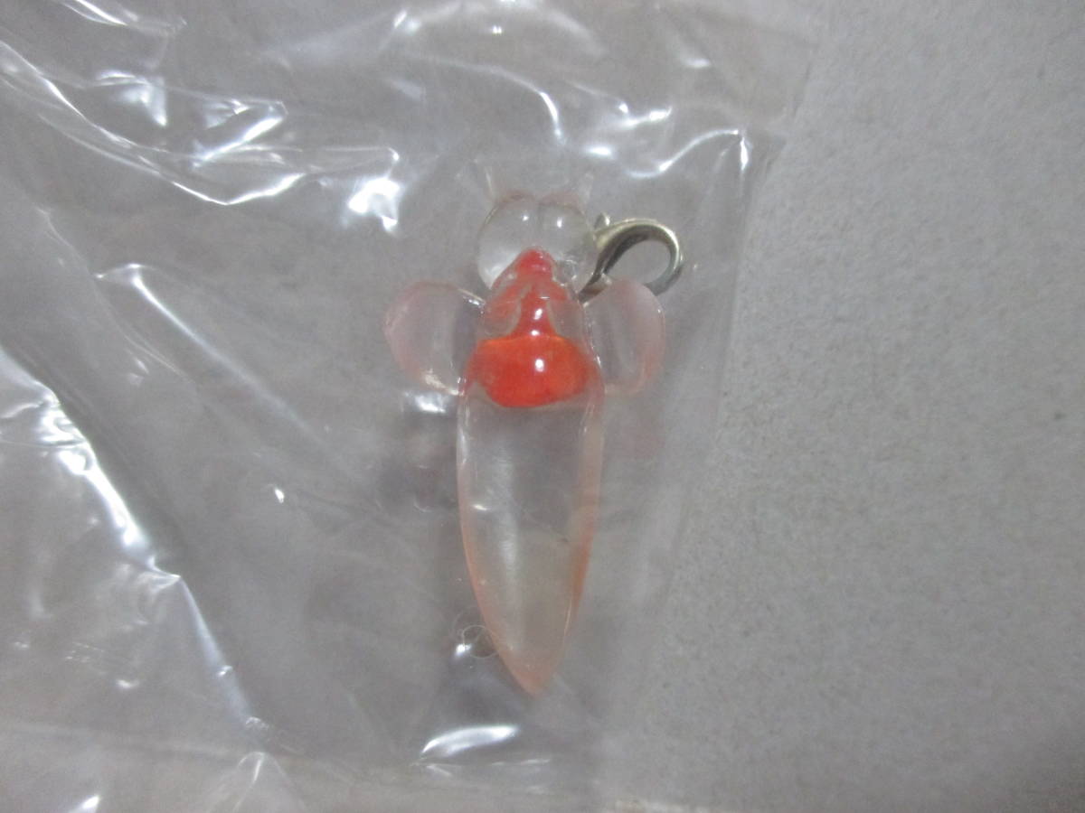 ヤフオク 数量2 北海道ランド 北の動物 フィギュア ストラ ヤフオク 数量2 北海道ランド 北の動物 フィギュア ストラ