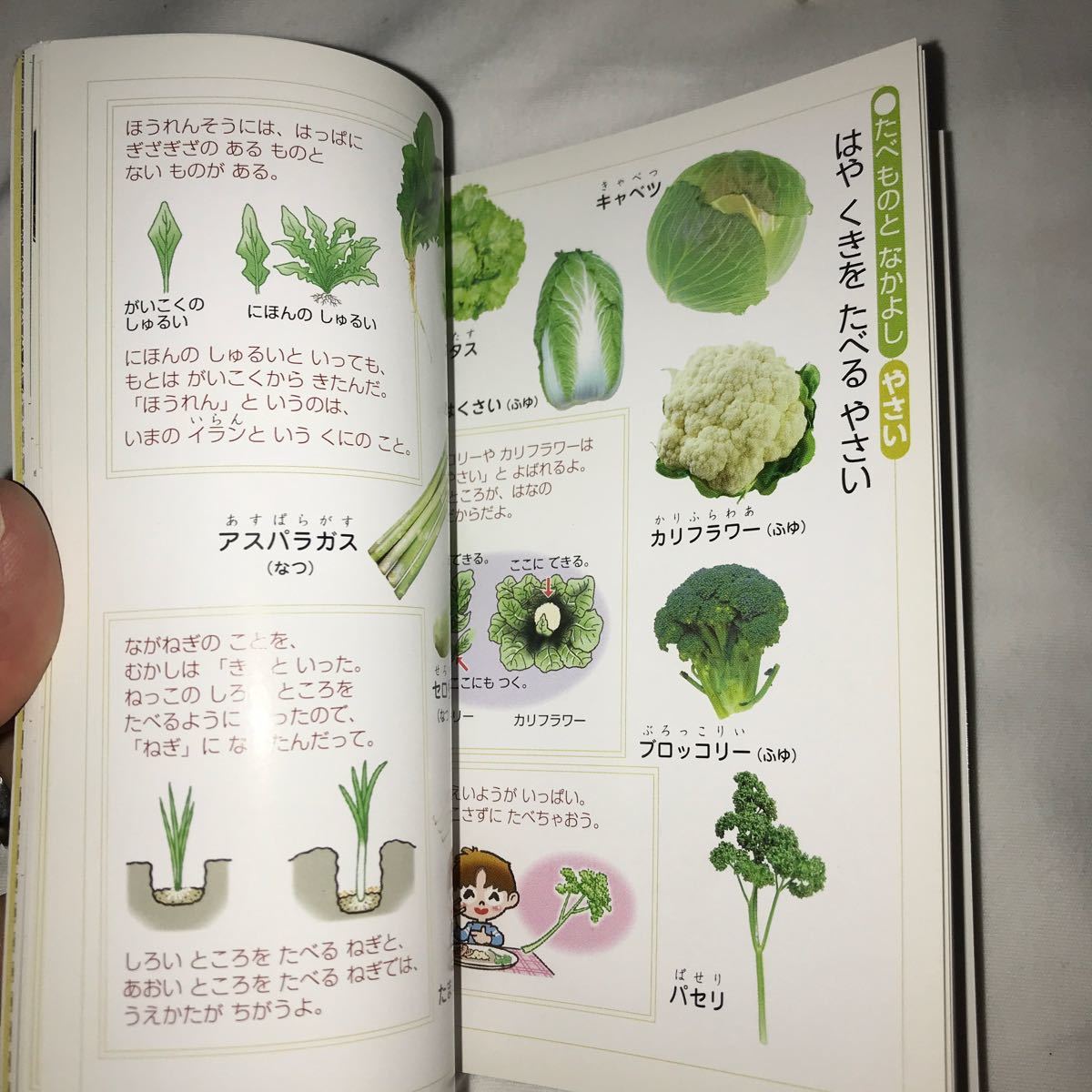 Paypayフリマ ポケット図鑑 幼児向け なつのずかん はるのずかん あきのずかん ふゆのずかん Paypayフリマ ポケット図鑑 幼児向け なつのずかん はるのずかん あきのずかん ふゆのずかん