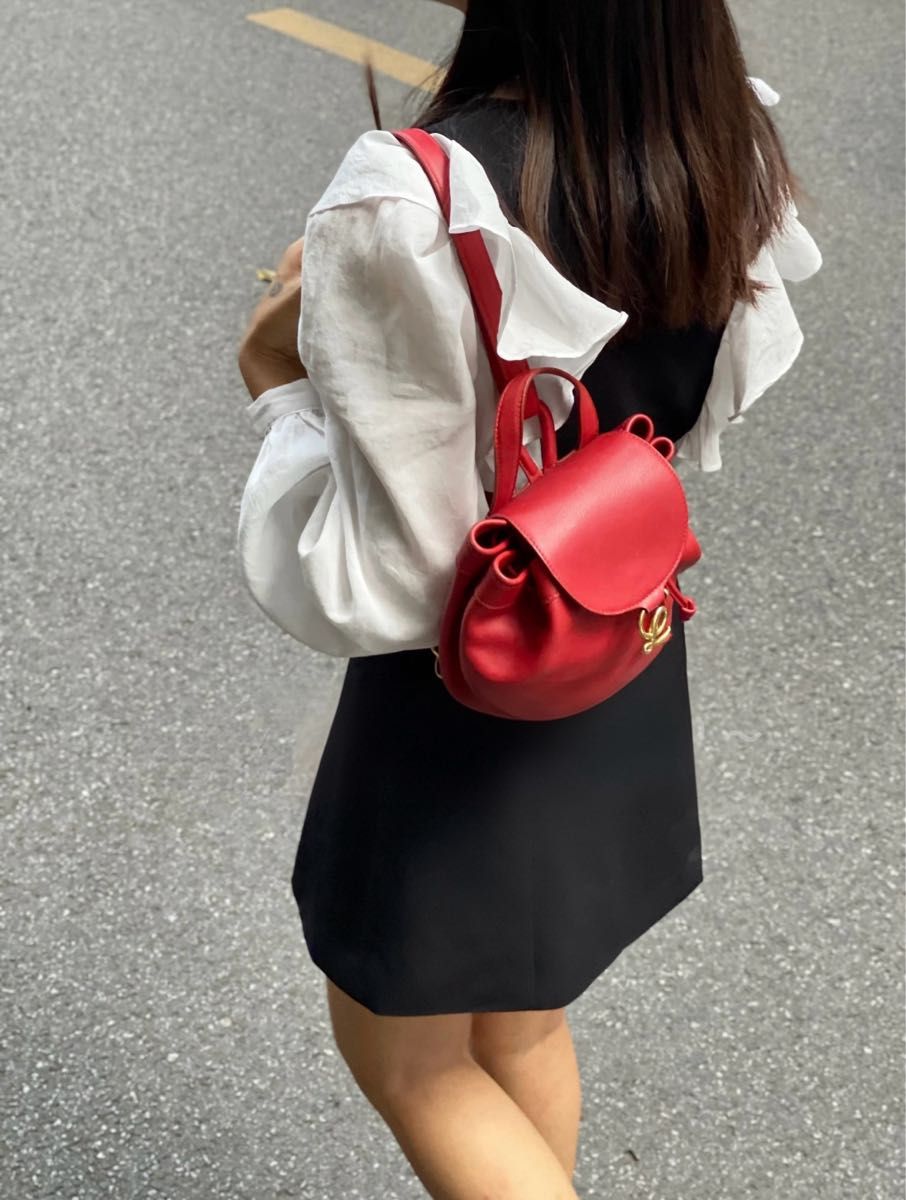 31日までのお値下げ 極美品LOEWE 赤 レザー リュック 極美品 LOEWE レッド レザー リュック ミニサイズ 正規品|Yahoo