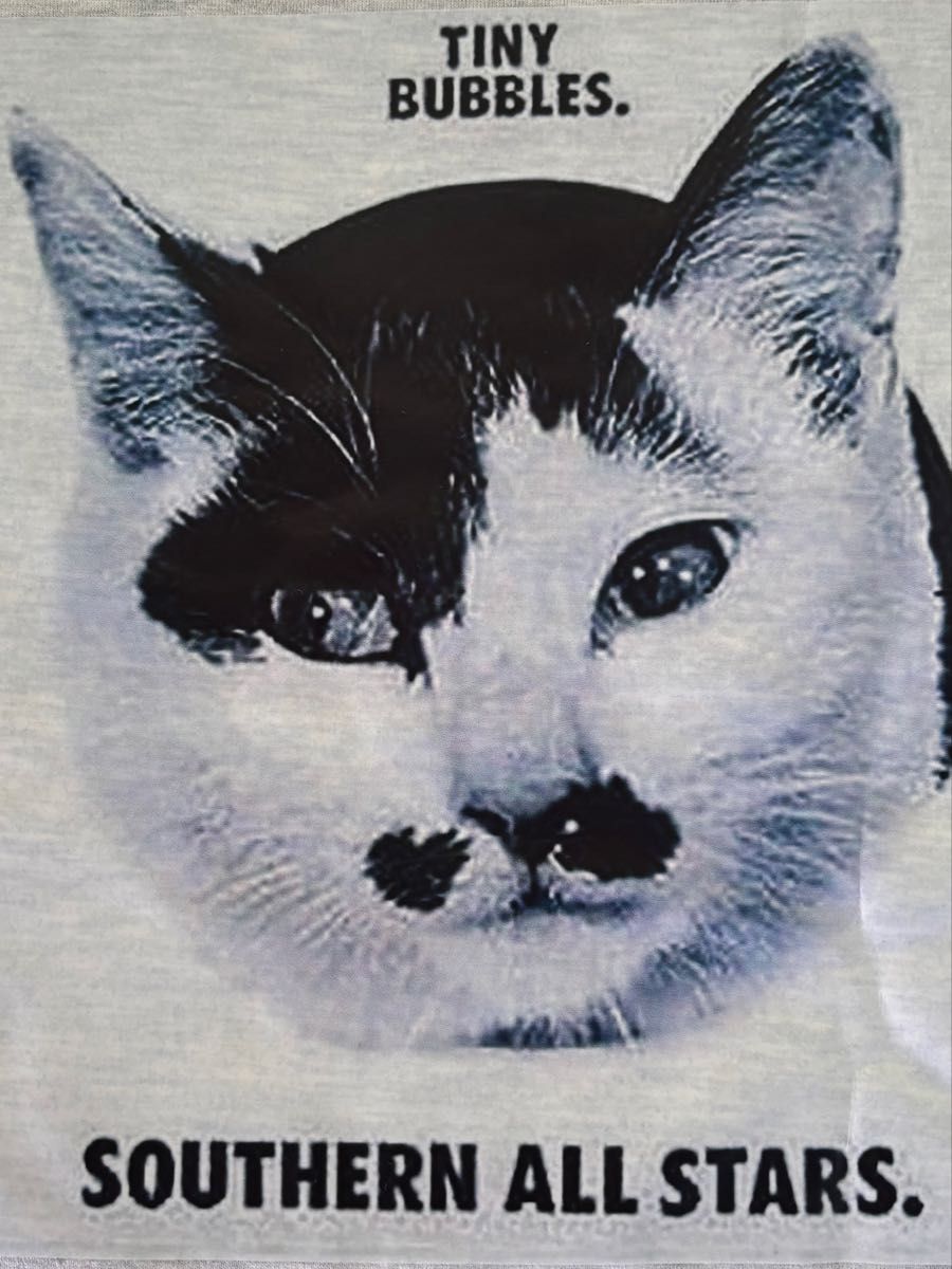 サザンオールスターズ16TH ORIGINAL ALBUM Tシャツ Lサイズ Lサイズ SOUTHERN ALL STARS サザンオールスターズ ネコTシャツ