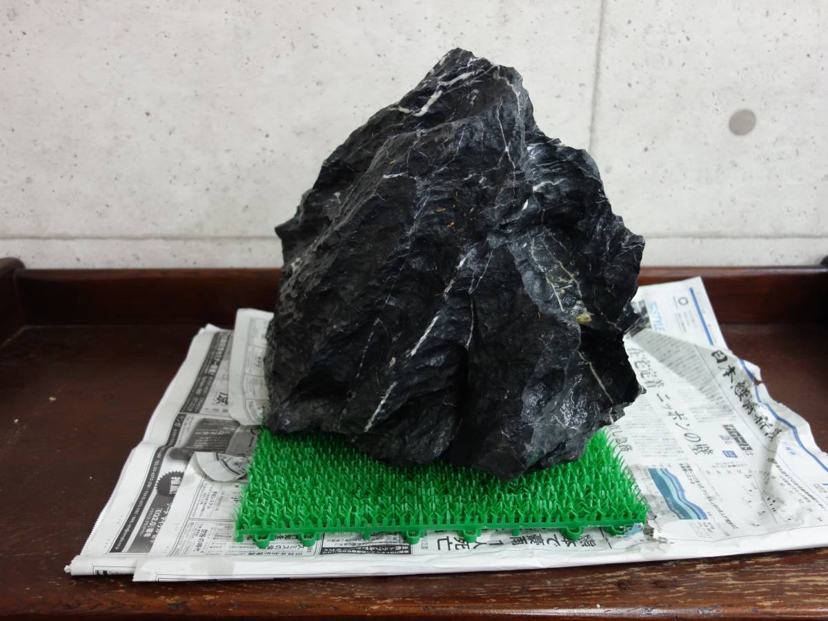 ADA dragon . stone XXL parent stone extra-large good type nature aquarium biotope etc. 