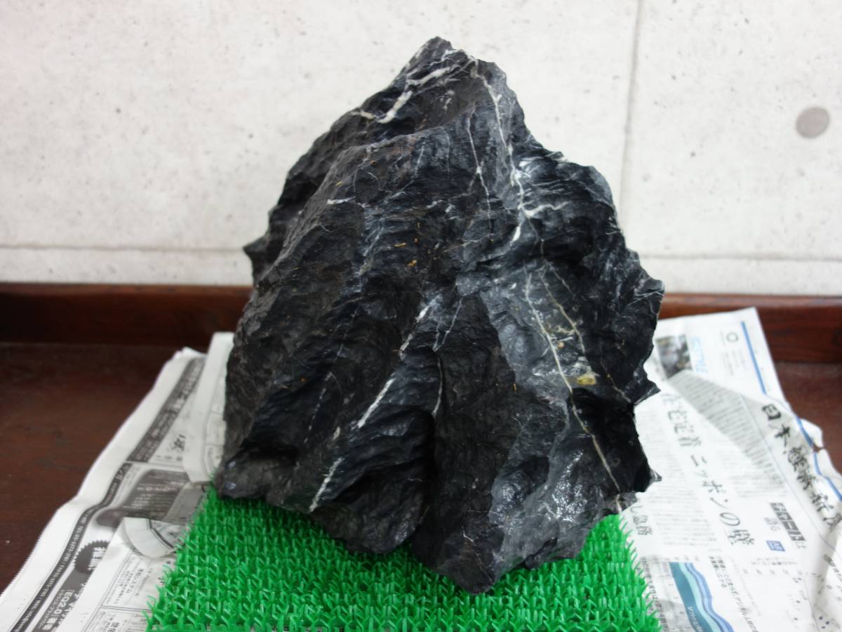 ADA dragon . stone XXL parent stone extra-large good type nature aquarium biotope etc. 