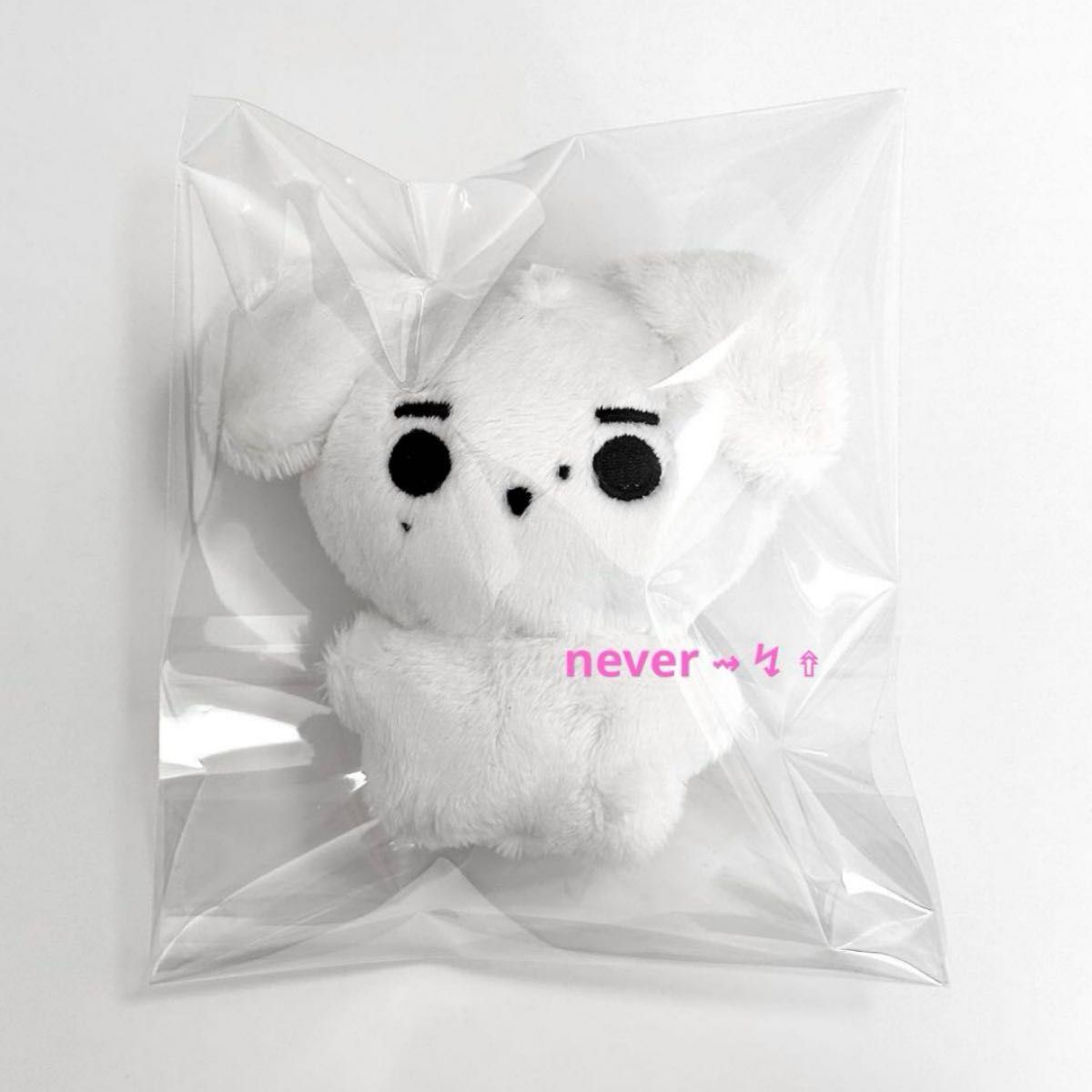 ENHYPENぬいぐるみ ソンフン、ソヌ ぬい 10センチ マスター 2体 ENHYPEN ソンフン ぬいぐるみ 10cm ①|Yahoo!フリマ(旧PayPay