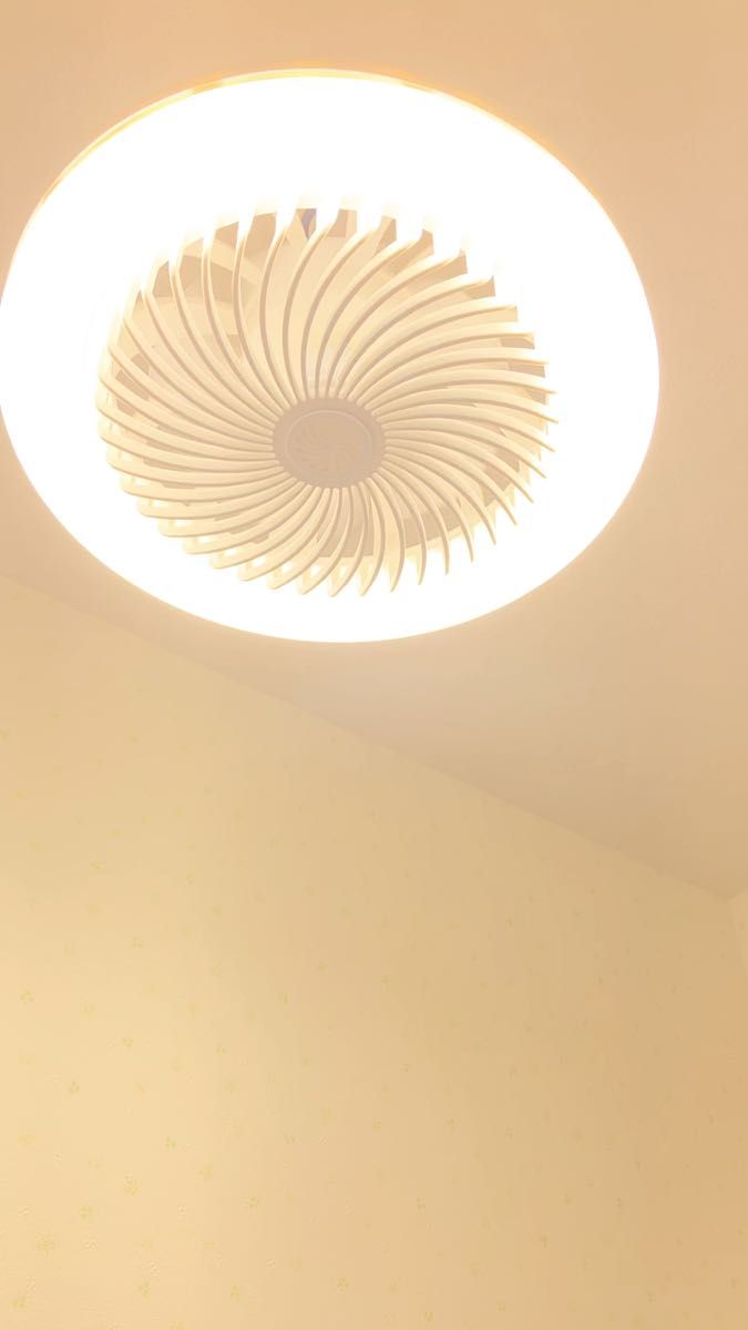 LEDライト ファン 2台 調光調色 LED シーリングファンライト 角度調節 リモコン付属 天井照明器具LEDライト扇風機