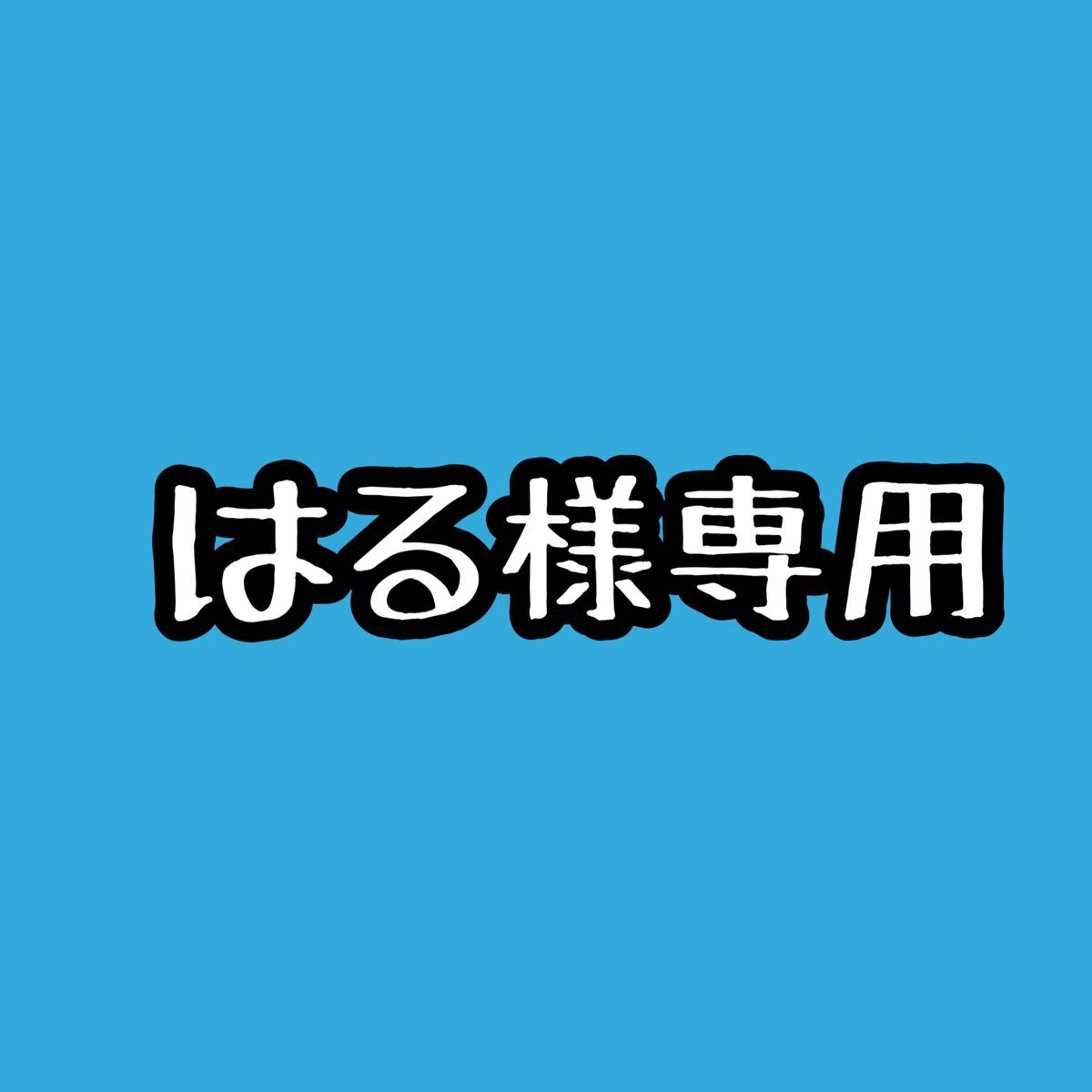ポン様♡専用出品 はる様専用|Yahoo!フリマ(旧PayPayフリマ)