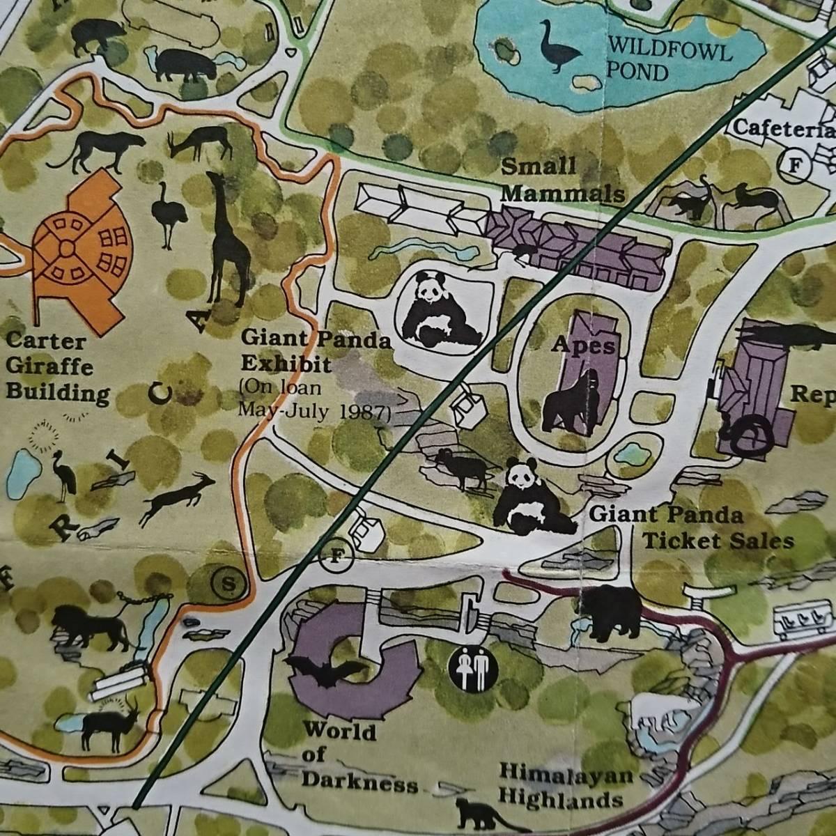 【AIKU-YA】ニューヨーク 地図 ブロンクス動物園 ジャンクジャーナル素材にも コラージュ_画像8