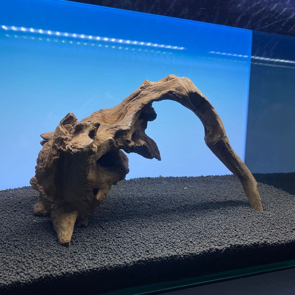 MRW-3602 天然流木 レア物 アクアリウム MRW-6518自立赤系天然流木 1点物 流木 アクアリウム|Yahoo