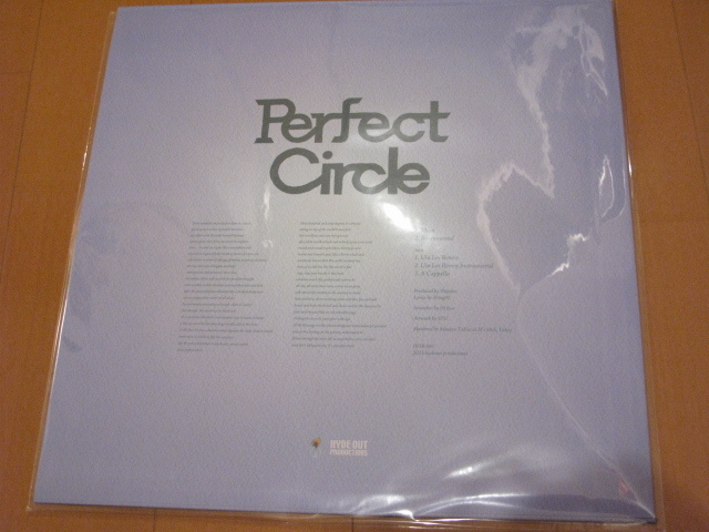 新品○NUJABES feat. SHING02 / Perfect Circle　Hydeout Productions luv ヌジャベス_画像2