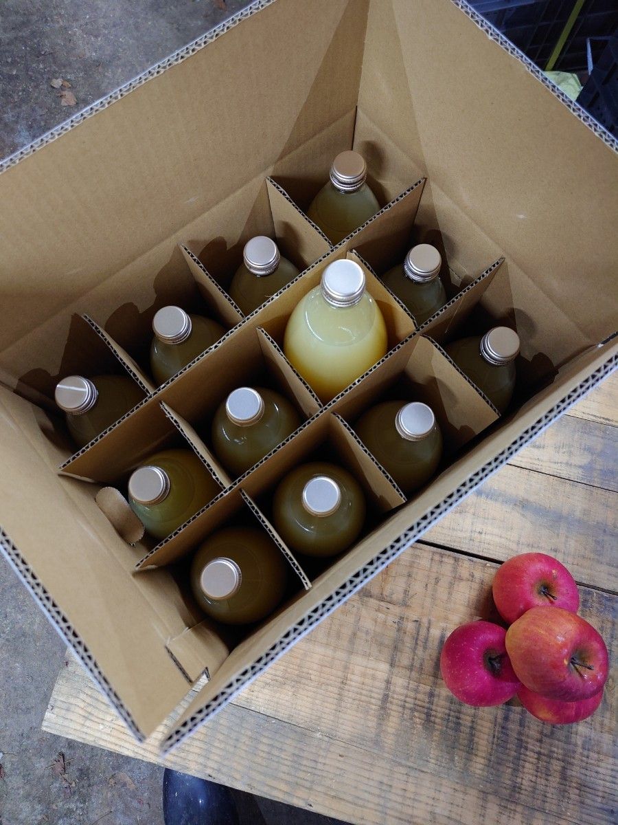 青森りんご サンつがる100% りんごジュース 1L12本入り 送料込 最後 青森りんご サンふじ100% りんごジュース 1L12本入り 送料込 春