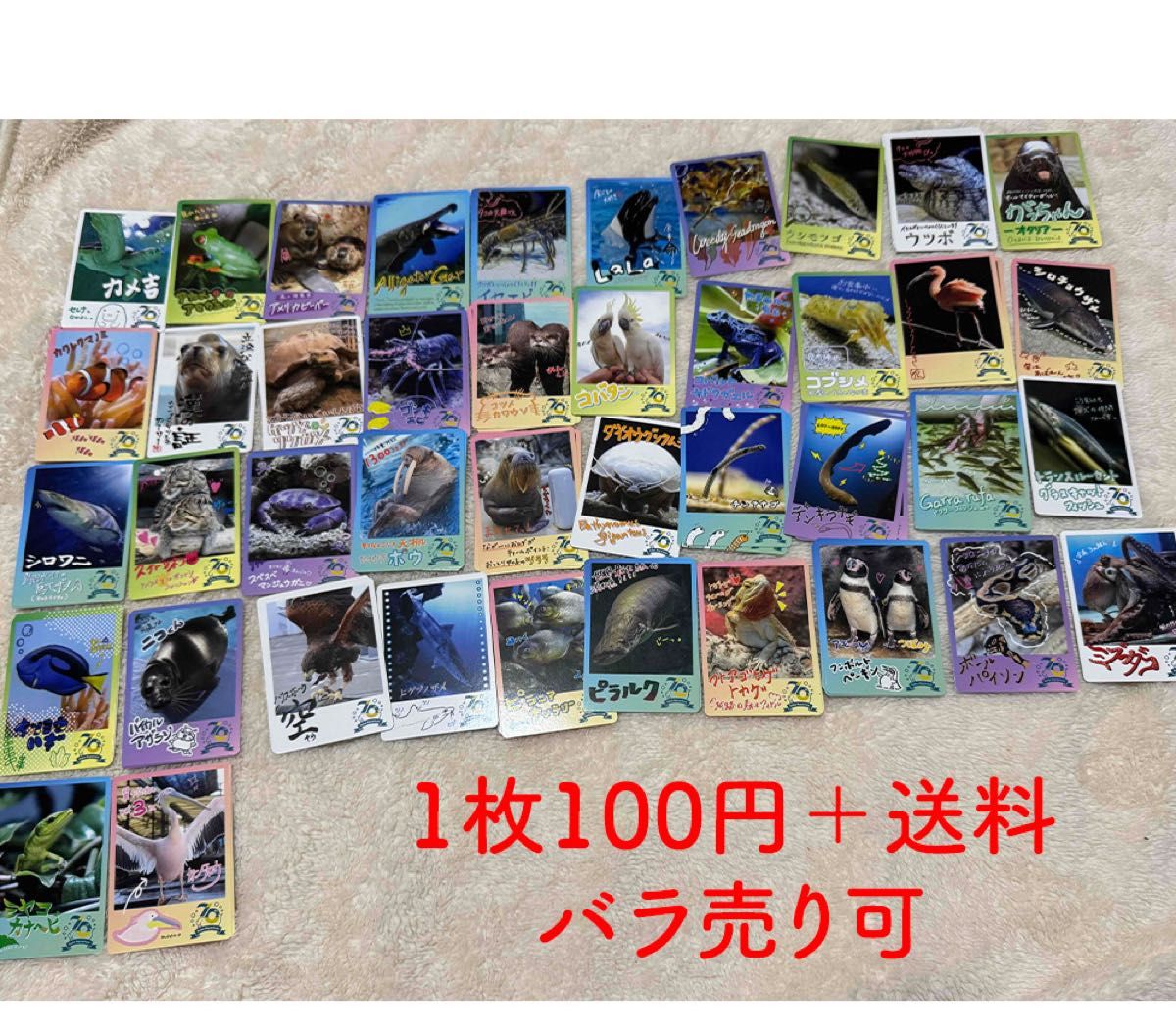 鳥羽水族館/コレクションカード バラ売り 鳥羽水族館 コレクションカード バラ売り可|Yahoo!フリマ(旧