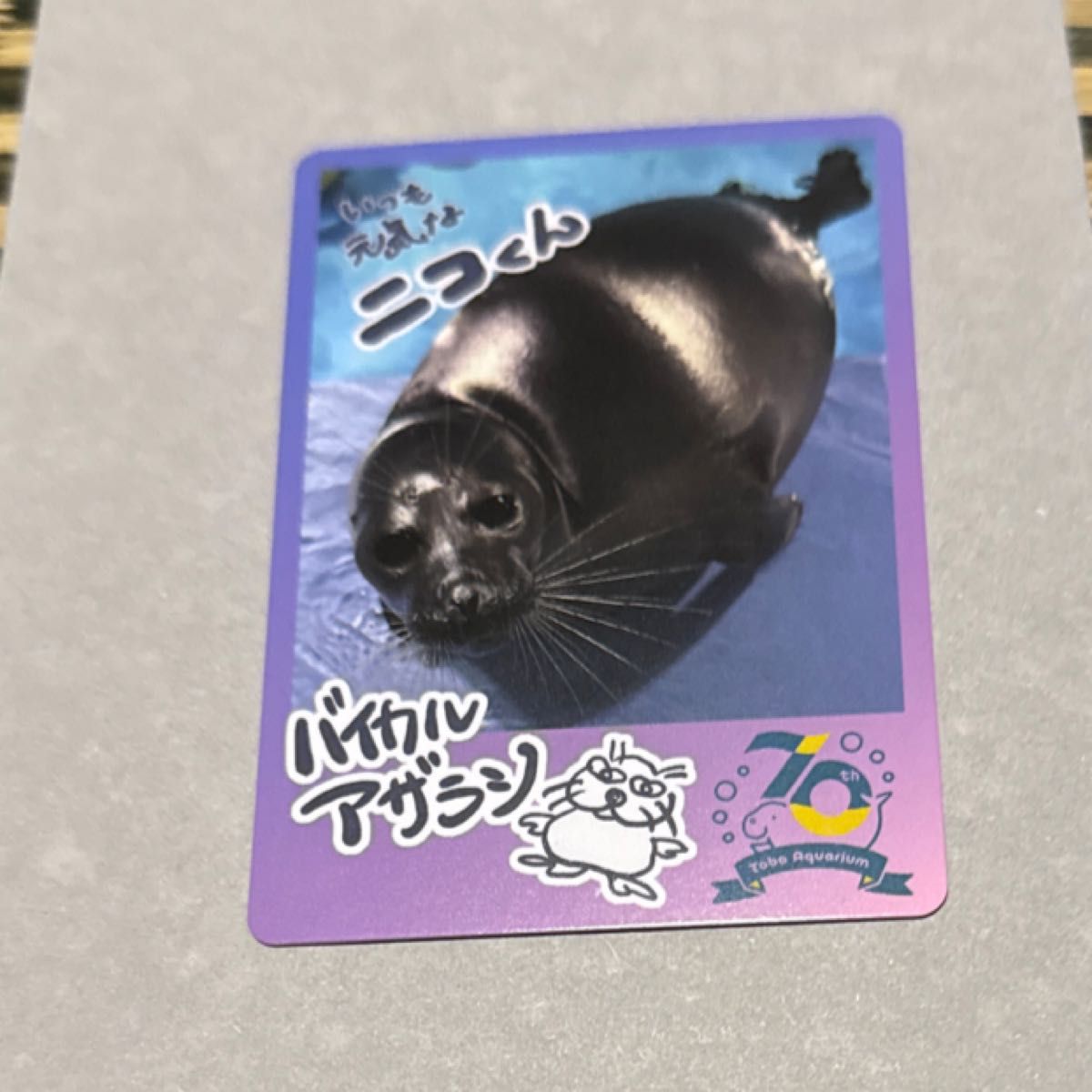 鳥羽水族館 コレクションカード トレカ バイカルアザラシ ニコ レアカード B 鳥羽水族館 コレクションカード バイカルアザラシ ニコ|Yahoo