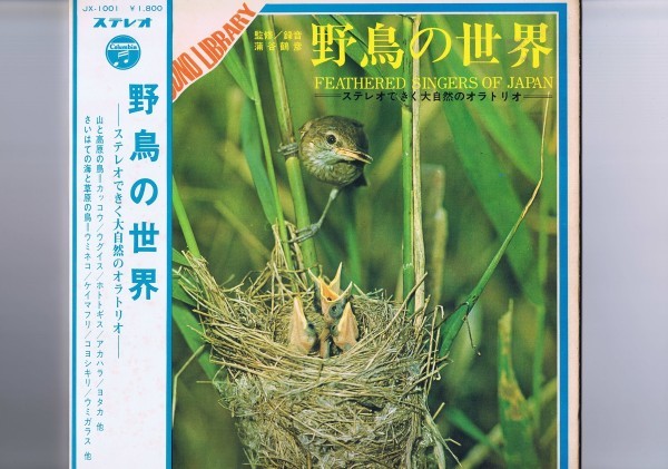 帯付 インサート付 LP 蒲谷鶴彦 / 野鳥の世界 / Feathered Singers Of Japan ステレオできく大自然のオラトリオ JX-1001_画像1