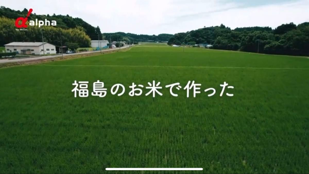 グルテンフリー う米めん 米粉 UMAIMEN 増粘剤不使用 無添加 オーガニック