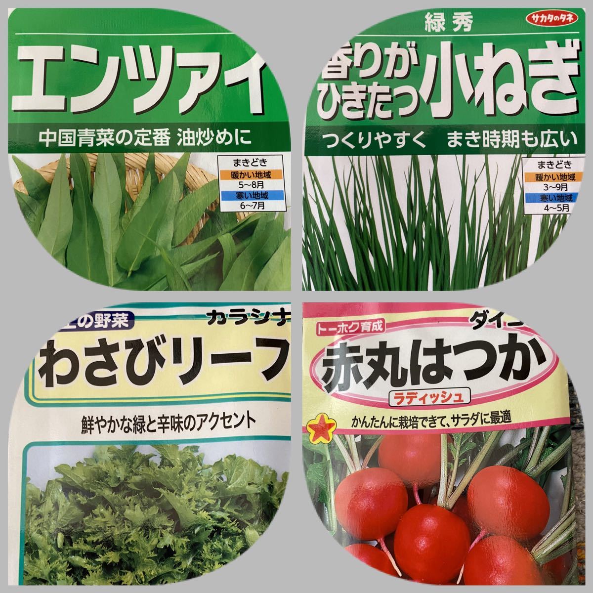 Paypayフリマ 野菜の種 4種類 サンチュ30粒