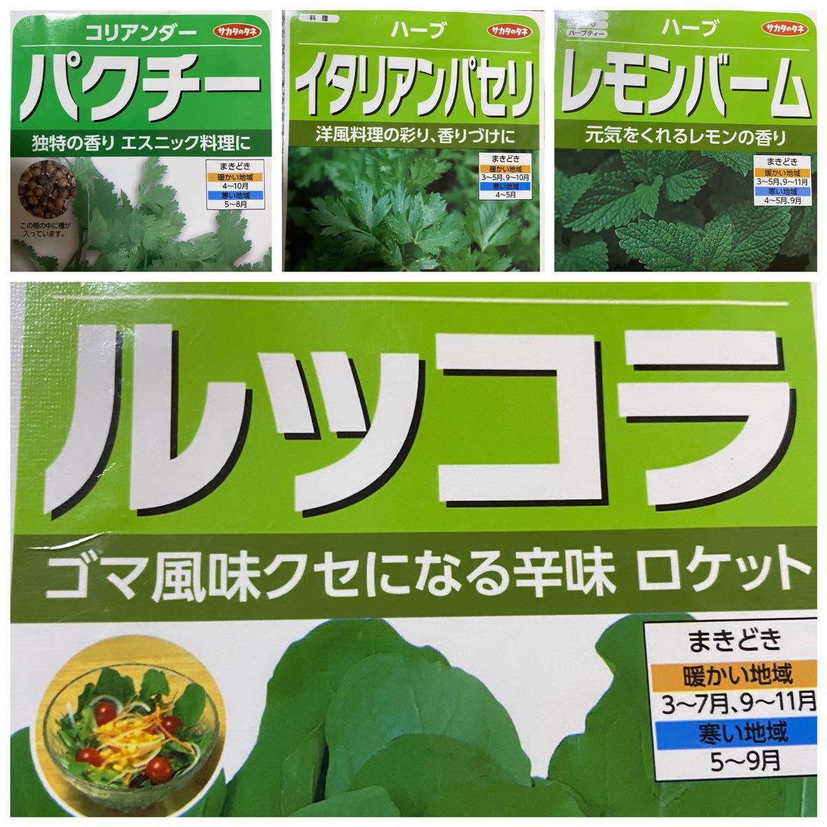 野菜の種4種類＋サンチュ30粒