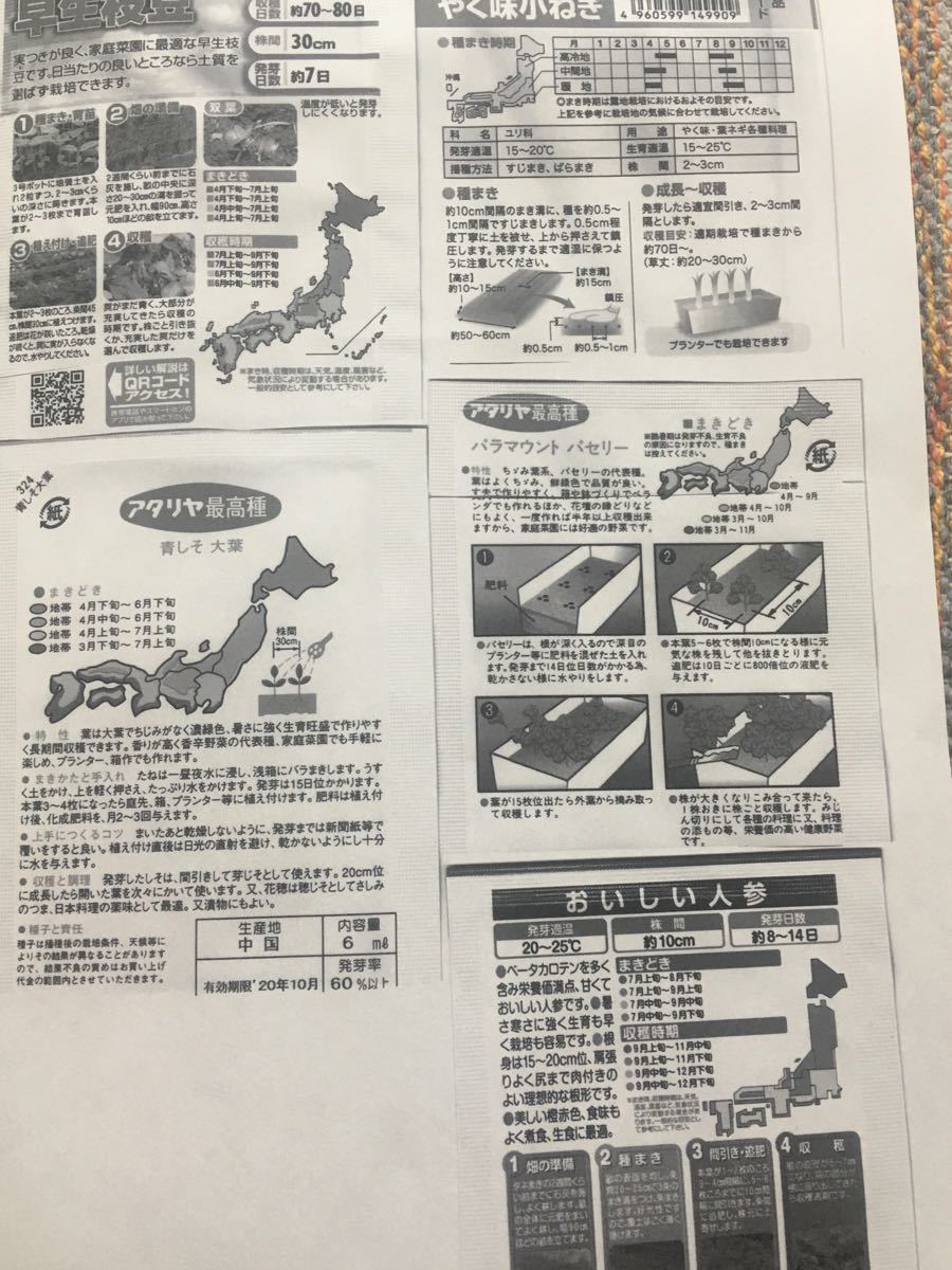 Paypayフリマ 野菜の種4種類 サンチュ30粒 Paypayフリマ 野菜の種4種類 サンチュ30粒