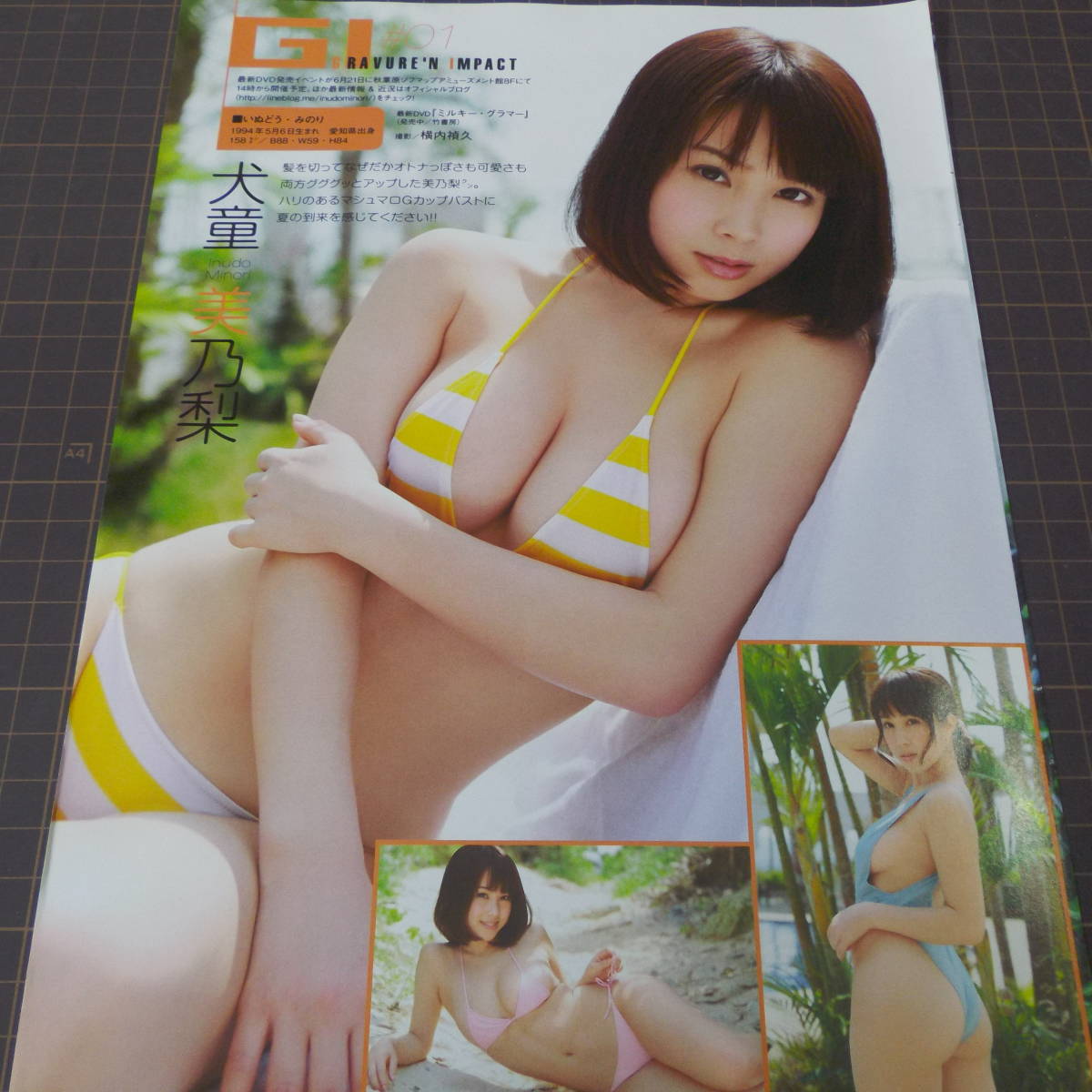 ヤフオク グラビアアイドル 犬童美乃梨 安枝瞳 鈴木 ヤフオク グラビアアイドル 犬童美乃梨 安枝瞳 鈴木