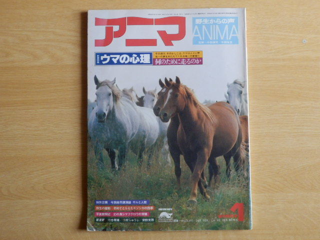 アニマ 野生からの声 1978年1月号 No.58 特集 ウマノ心理 何のために走るのか 1977年（昭和52年）12月15日発行 平凡社_画像1