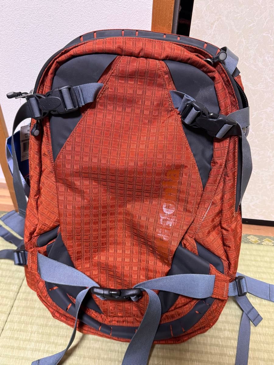 Patagonia スノーボードバッグ 中型 patagonia バックパック スキー スノボー スノボ スノーボード