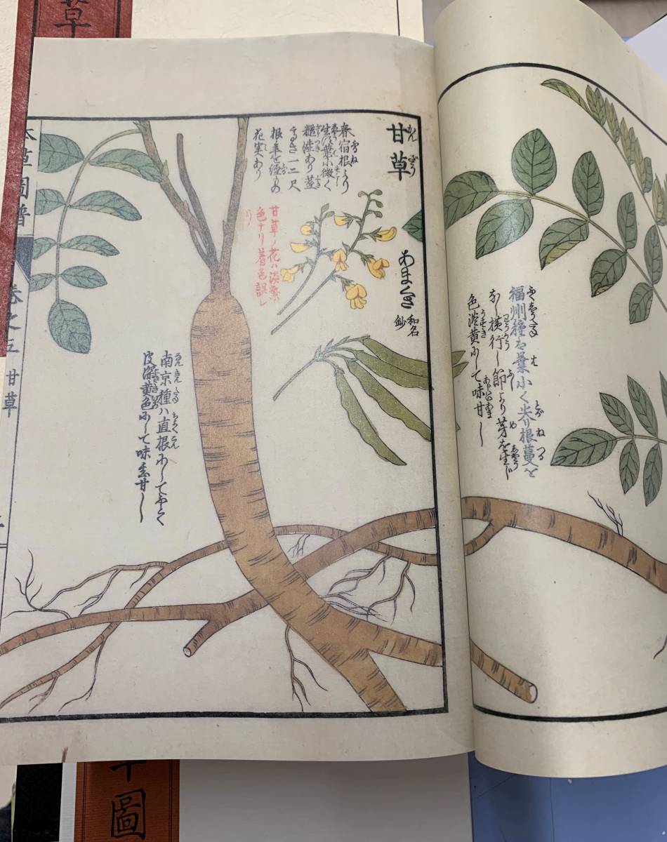 限定復刻版 本草図譜 第1帙~第6帙 全92冊・解説3 限定復刻版 本草図譜 第1帙~第6帙 全92冊・解説3