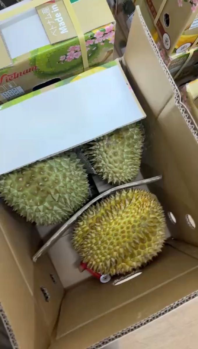 新鮮ドリアン一箱約10kg 金枕